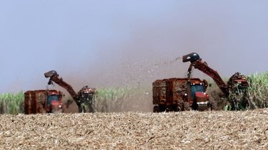 Exportaciones agrícolas son las mejores del siglo 