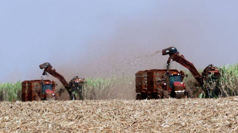 Aduana desarticuló maniobras de 60 agroexportadoras "truchas"