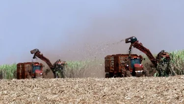 Exportaciones agrícolas son las mejores del siglo 
