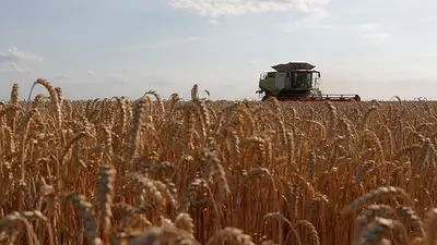 Gobierno aprueba financiamiento del Fondo Internacional de Desarrollo Agrícola por US$ 13,1 millones Gobierno aprueba financiamiento del Fondo Internacional de Desarrollo Agrícola por US$ 13,1 millones