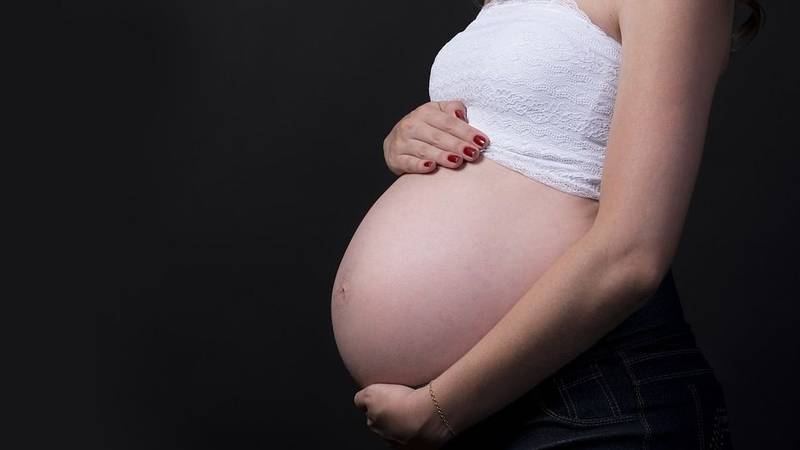 Permiten fecundación in vitro para mujeres solteras y lesbianas