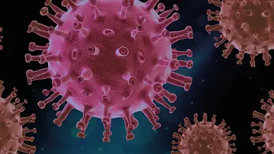 COVID-19: la variante Delta sería un 120% más contagiosa que el virus original COVID-19: la variante Delta sería un 120% más contagiosa que el virus original