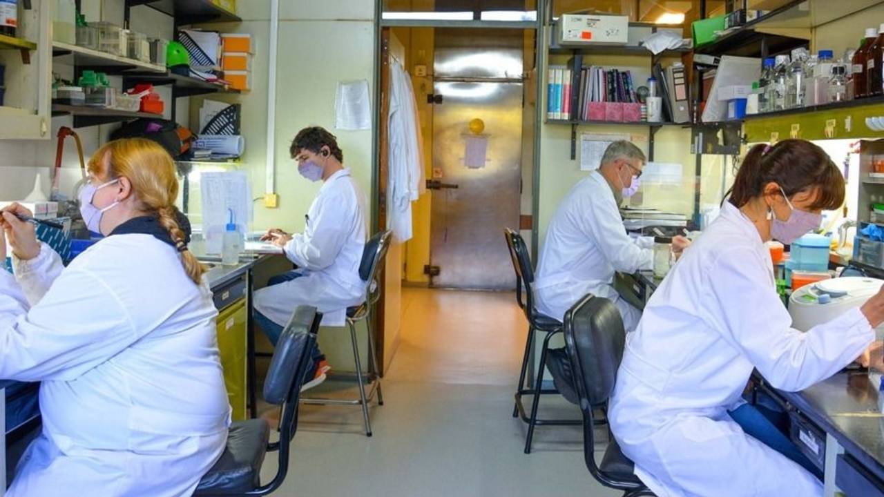 Vacuna nacional contra el COVID-19 demostró su eficacia contra la variante Gamma