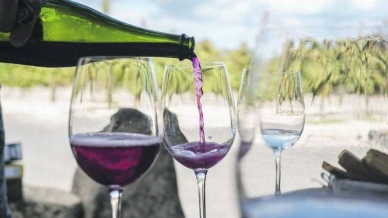 La Bodega Doña Paula es el mejor vino Malbec del mundo