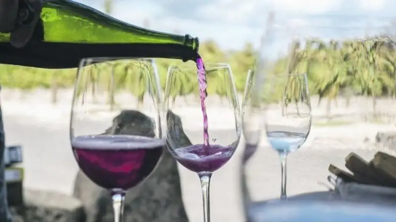 La Bodega Doña Paula es el mejor vino Malbec del mundo
