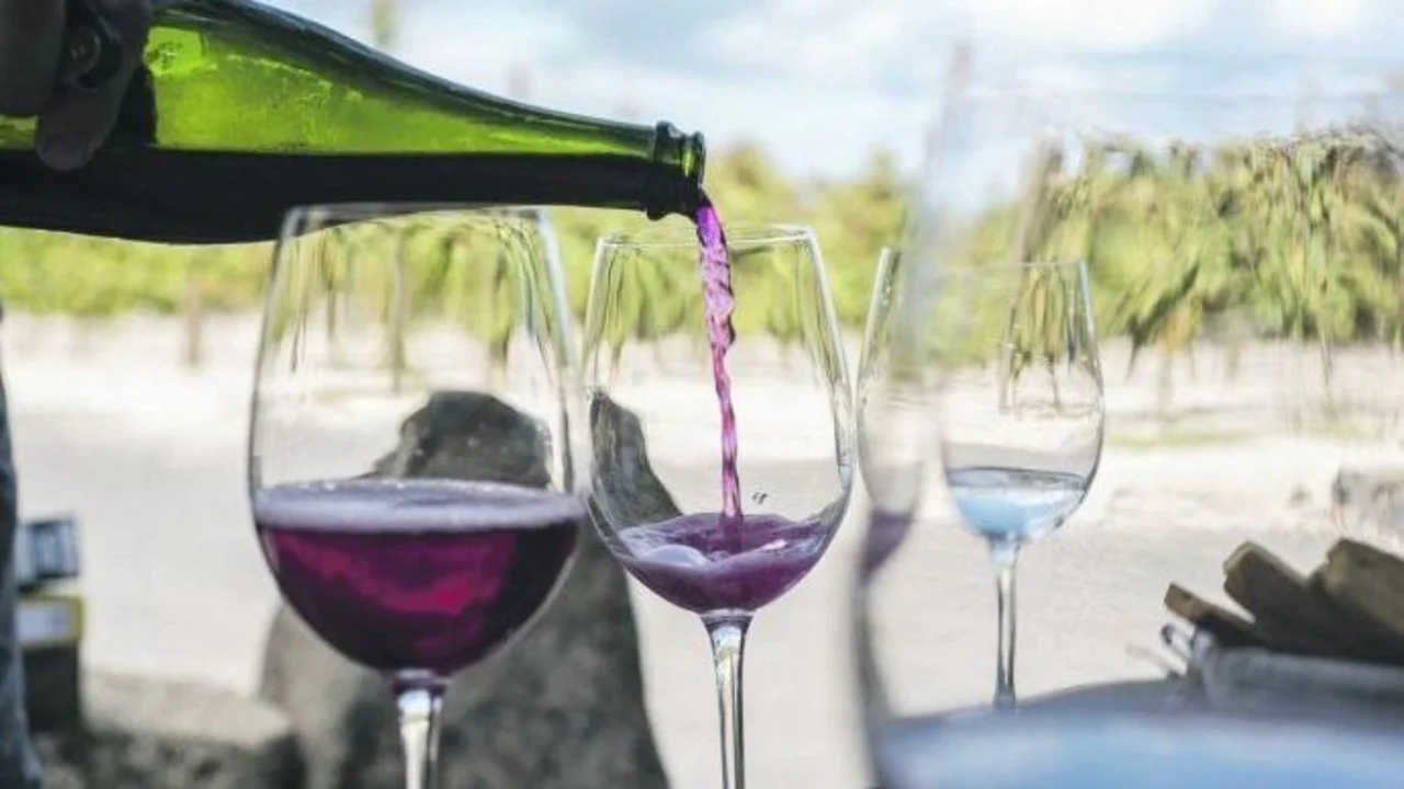 La Bodega Doña Paula es el mejor vino Malbec del mundo