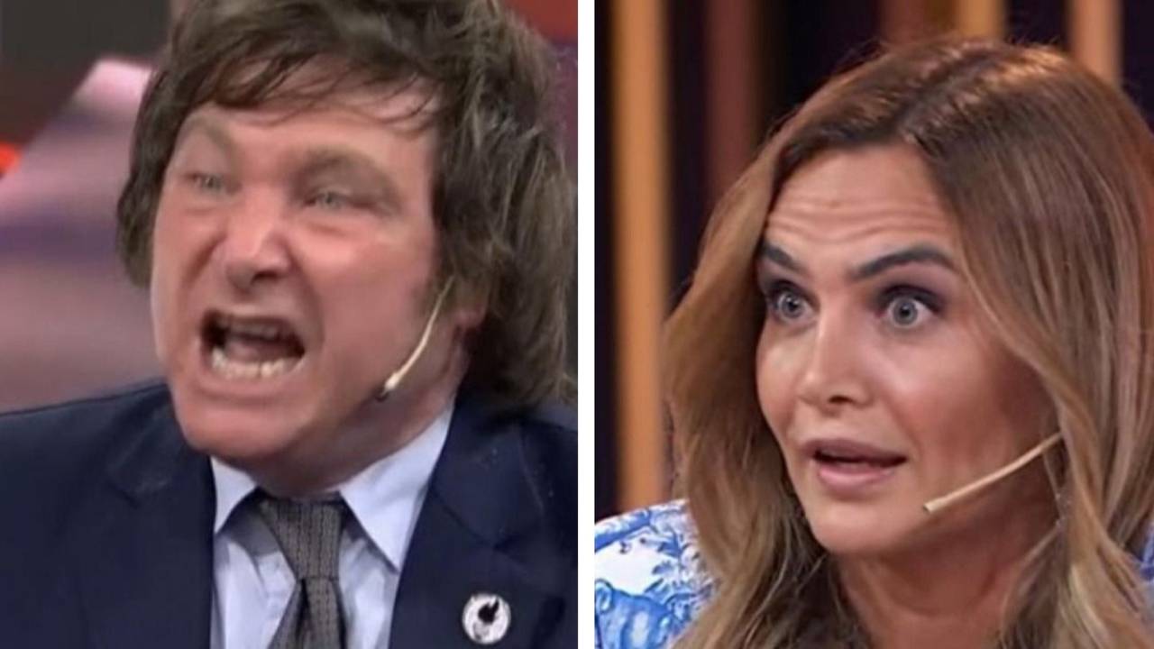 Amalia Granata. Javier Milei