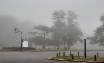 Chau frío, hola niebla intensa: de qué se trata el nuevo fenómeno meteorológico | Clima