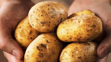 El peligro de comer papas: por qué puede ser un alimento tóxico