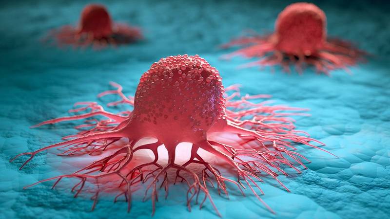 Cáncer
