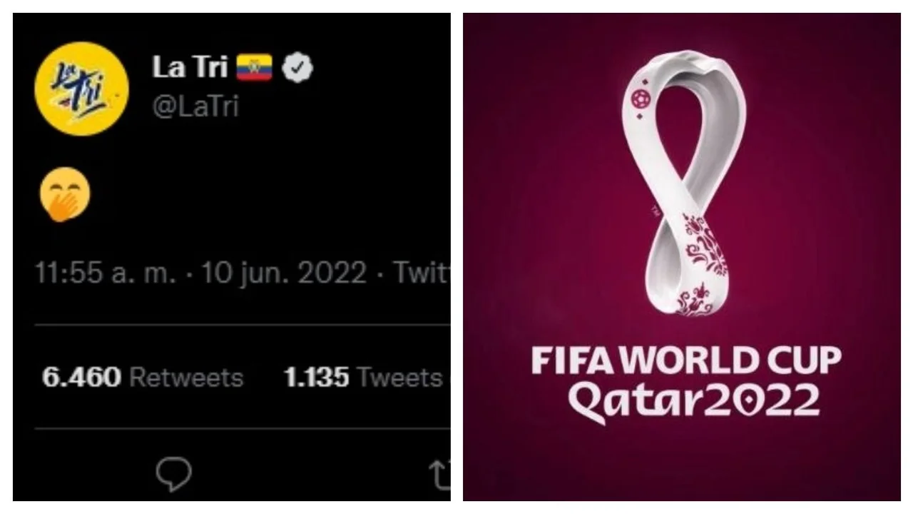 Mundial Qatar 2022 Ecuador Chile