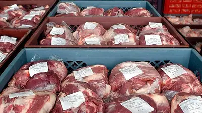 Nuevas líneas de crédito para el desarrollo de la producción bovina Nuevas líneas de crédito para el desarrollo de la producción bovina
