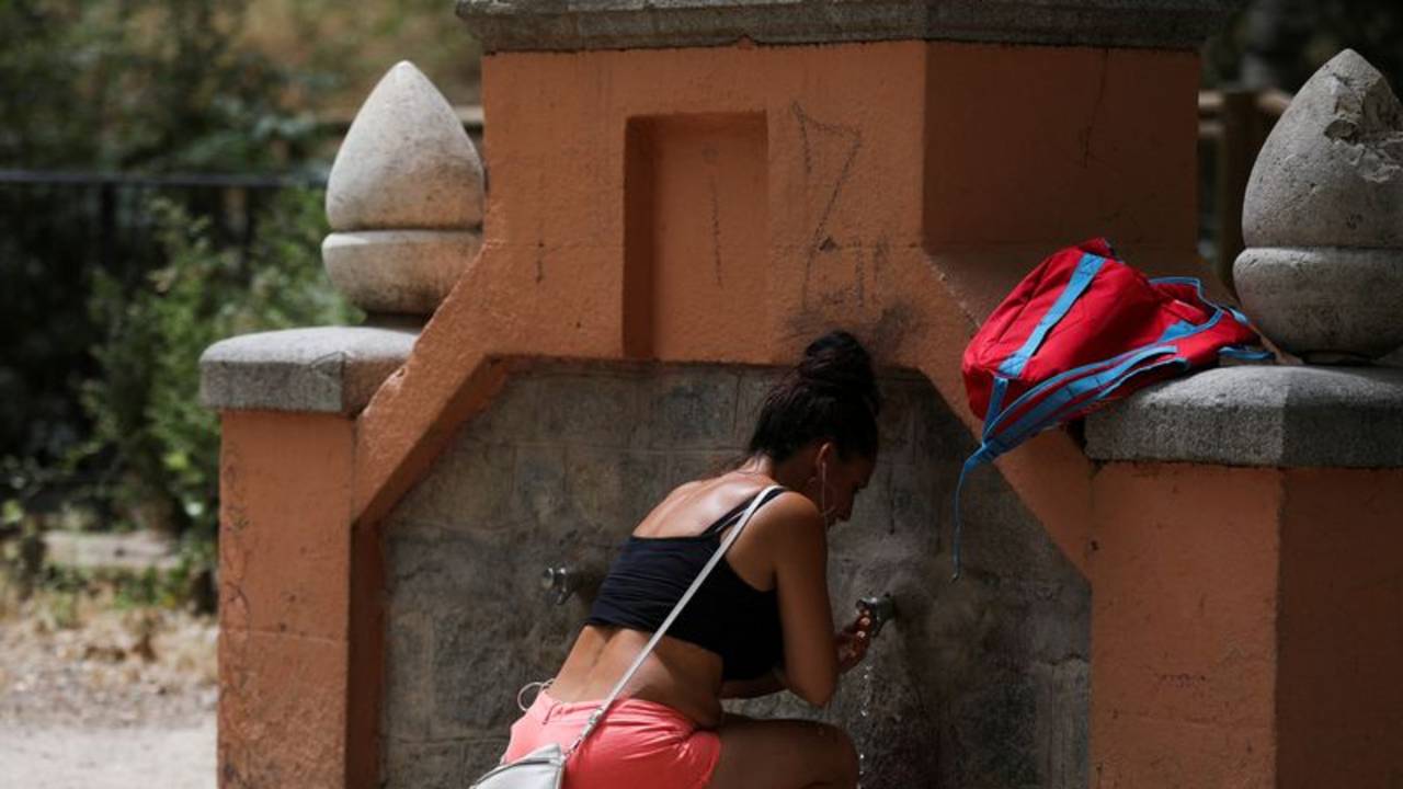 La ola de calor en España pasa factura a las aves jóvenes
