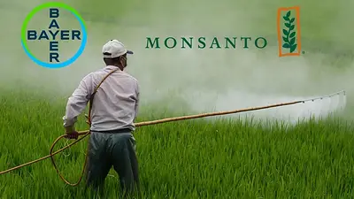 La Corte Suprema de EEUU confirmó la condena a Monsanto por el uso de glifosato La Corte Suprema de EEUU confirmó la condena a Monsanto por el uso de glifosato