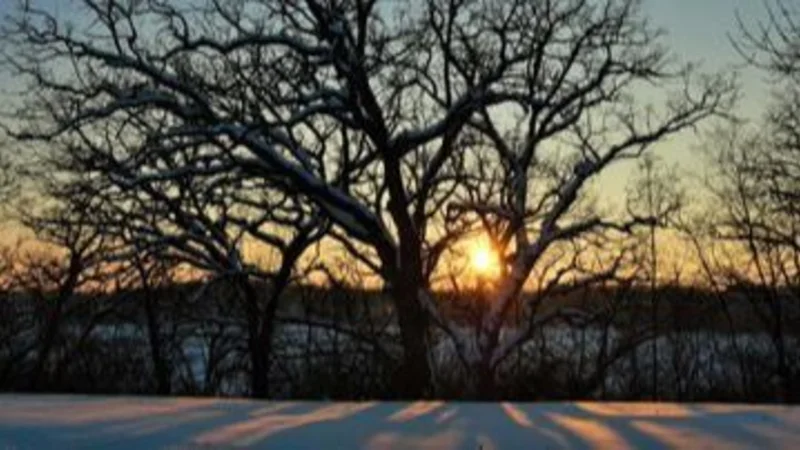 Solsticio de Invierno 2022: qué es, de qué se trata y por qué es el día más corto y la noche más larga