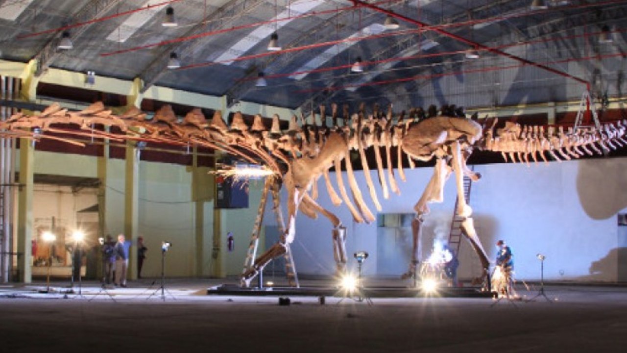 El dinosaurio mas grande del mundo estrenará su nueva casa