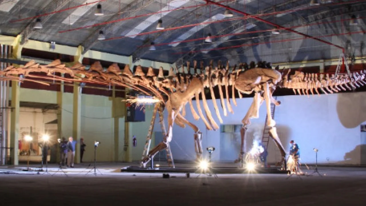 El dinosaurio mas grande del mundo estrenará su nueva casa