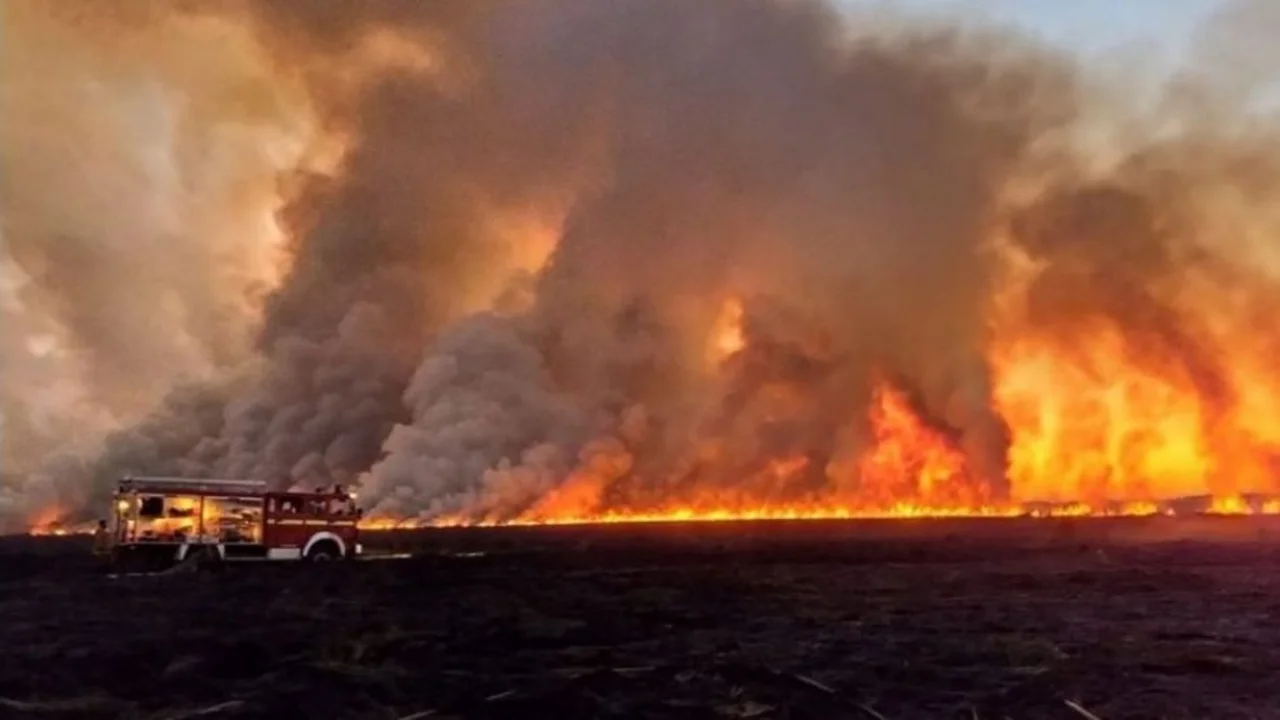 Incendios en Entre Ríos y Santa Fe: brigadistas combaten el fuego en islas del Paraná