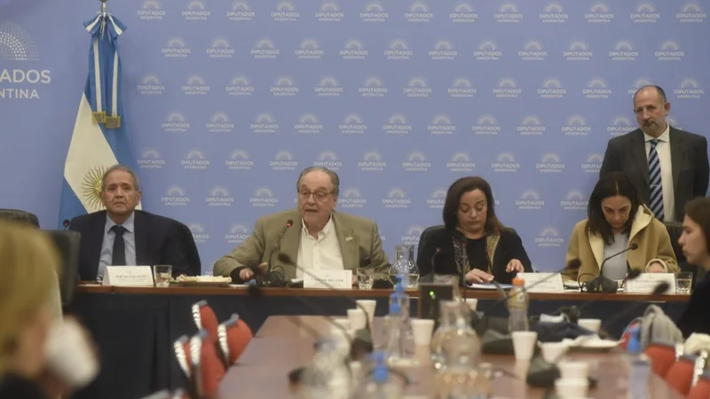 Sin acuerdo entre oficialismo y oposición, emitieron dos dictámenes para reformar la Ley de Alquileres