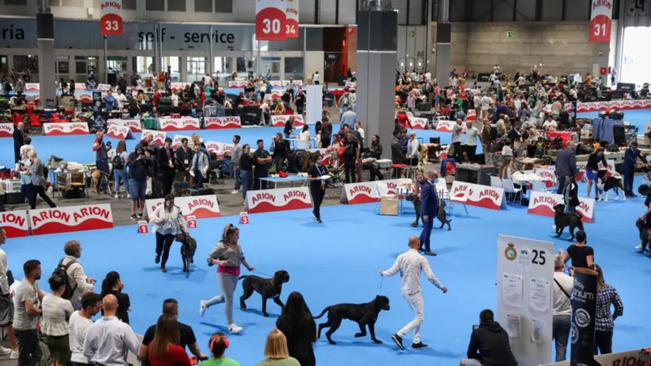 ¿Quién ladra más alto? España celebra un concurso mundial de perros