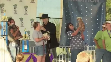 Un perro ganó el premio al "más feo del mundo": de qué raza es