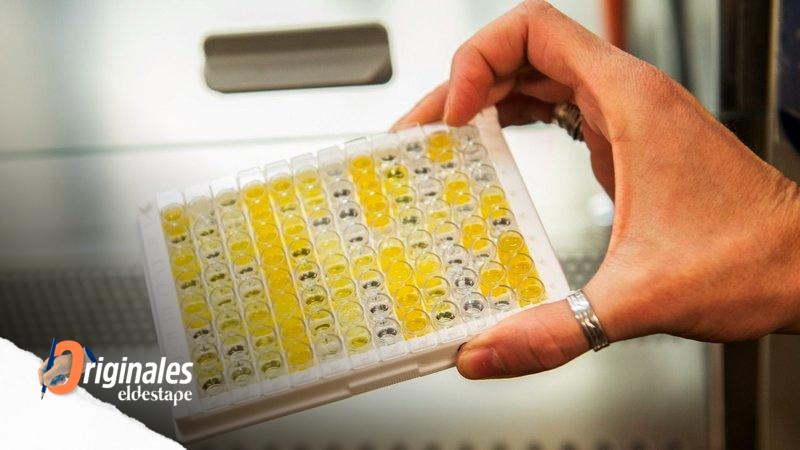 La combinación de vacunas puede aumentar hasta 10 veces la protección