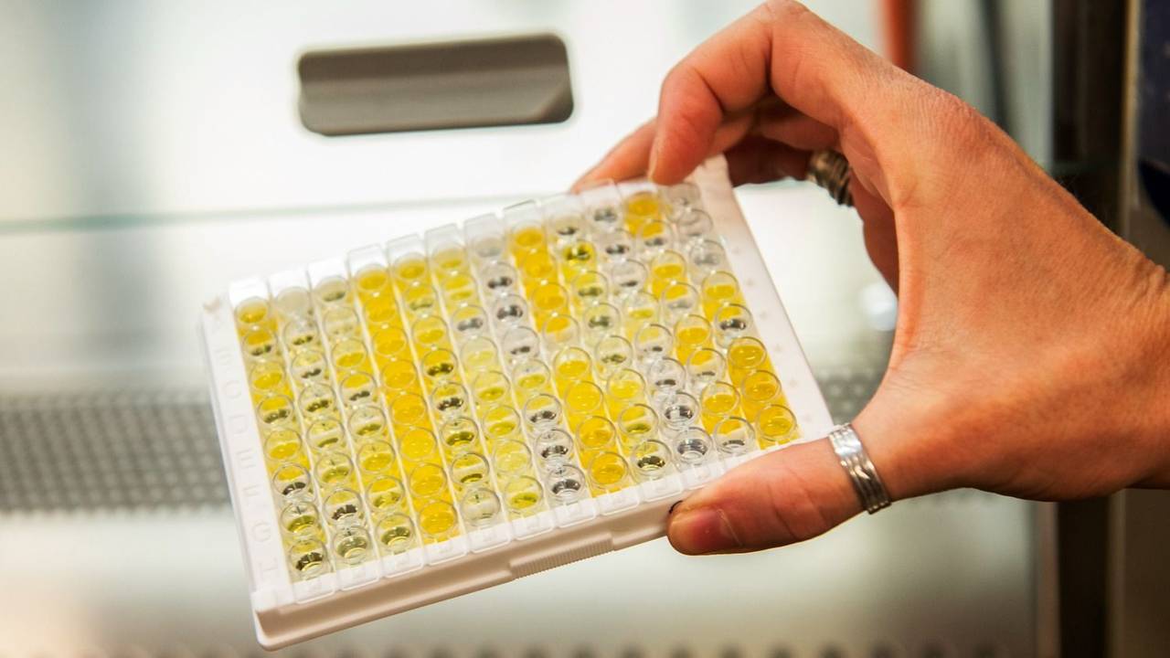 La combinación de vacunas puede aumentar hasta 10 veces la protección