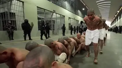 Horror: un informe expuso cómo son las torturas en la mega cárcel de Bukele Horror: un informe expuso cómo son las torturas en la mega cárcel de Bukele