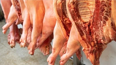La producción de carne de cerdo marcará nuevo récord este año La producción de carne de cerdo marcará nuevo récord este año