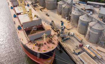 Primarización al palo: en junio subieron las exportaciones de soja | Dólar