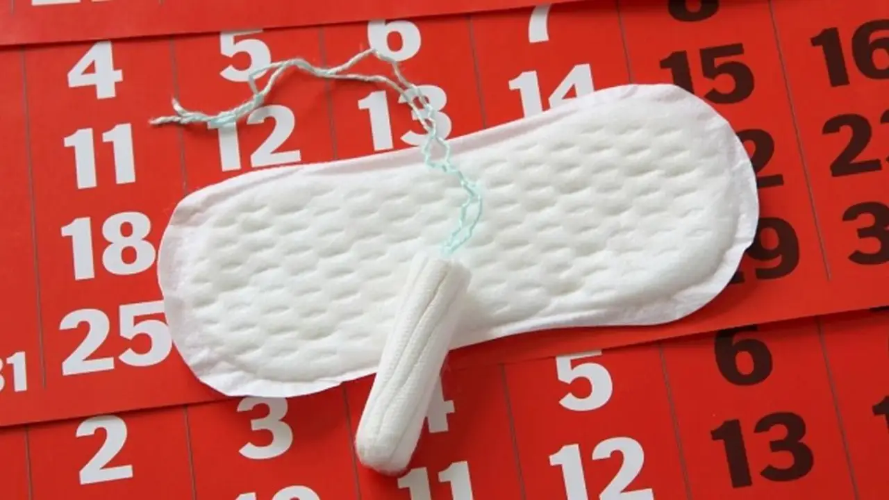 Menstruar no es una elección y 12 millones de personas lo hacen en Argentina: el lado B de la eliminación del programa, mientras las toallitas aumentan un 81%