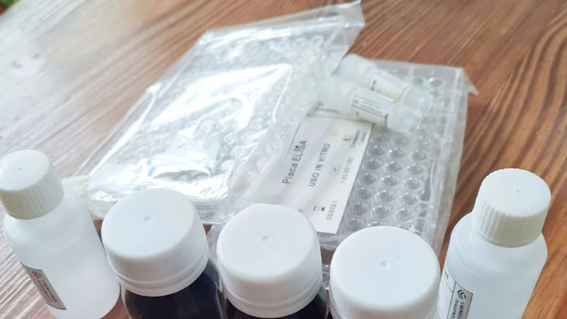 Zoocovid, el kit para detectar Covid-19 en mamíferos creado por argentinos