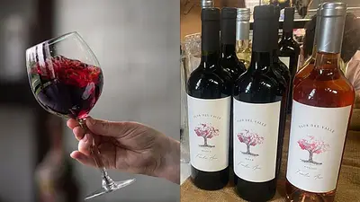 Vino Flor del Valle, bodega La Magdalena Vino Flor del Valle, bodega La Magdalena