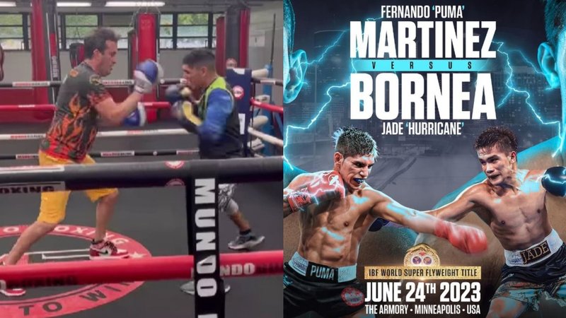 Fernando "Puma" Martínez Boxeo