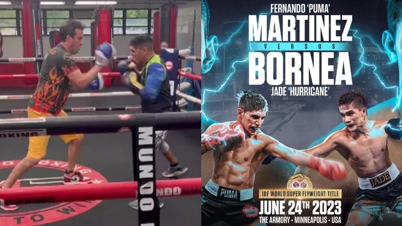 Fernando "Puma" Martínez Boxeo