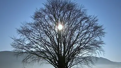 Solsticio de invierno Solsticio de invierno