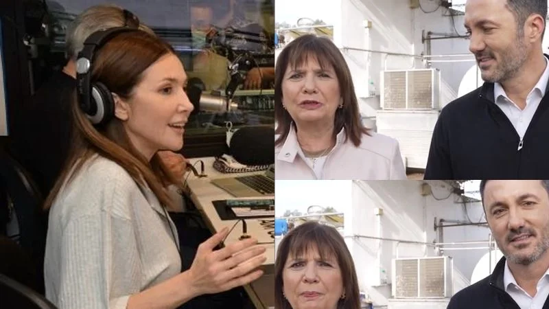 Reacción de Cristina Pérez a Luis Petri vicepresidente de Patricia Bullrich