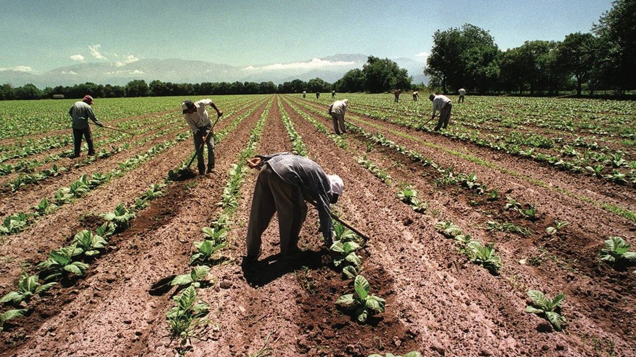 Paritarias 2023: la UATRE cerró una suba anual del 104%