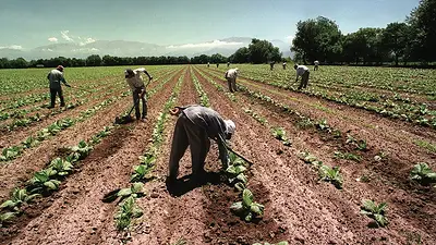 Paritarias 2023: la UATRE cerró una suba anual del 104% Paritarias 2023: la UATRE cerró una suba anual del 104%