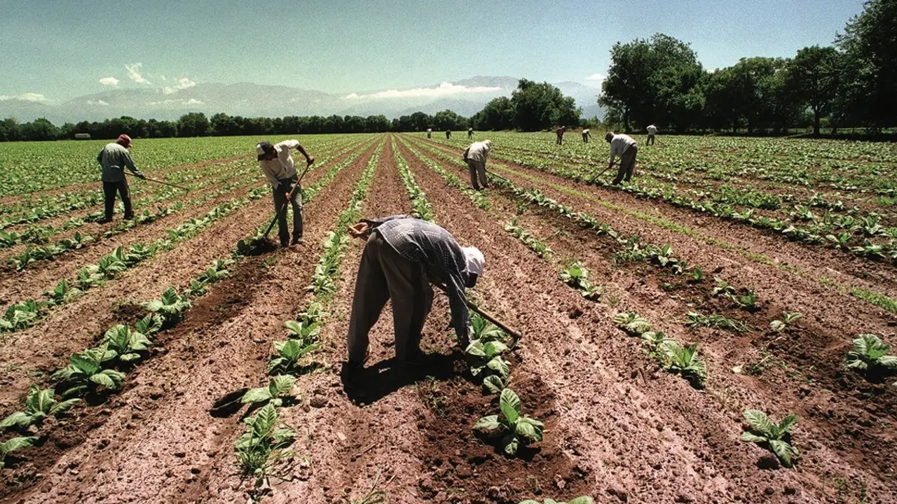 Paritarias 2023: la UATRE cerró una suba anual del 104%