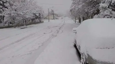Neuquén nevadas Neuquén nevadas