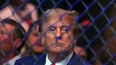 Donald Trump se une a TikTok y rápidamente consigue un millón de seguidores Donald Trump se une a TikTok y rápidamente consigue un millón de seguidores