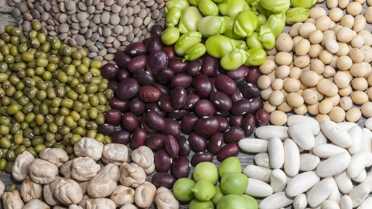 Variedad de legumbres