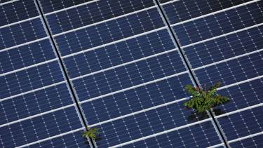 Los planes de los países aún no se ajustan al objetivo de triplicar la capacidad de las renovables