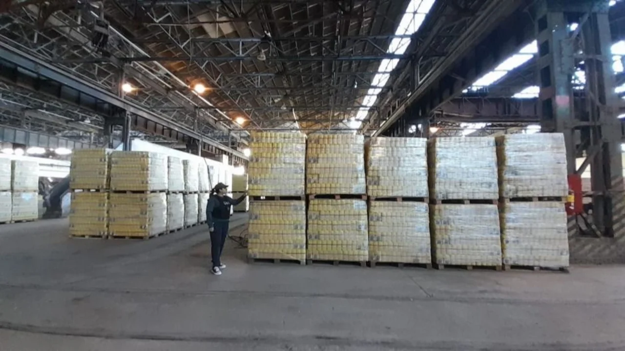 Escándalo por los alimentos retenidos en Capital Humano: cuáles son las nueve provincias que no recibirán leche en polvo
