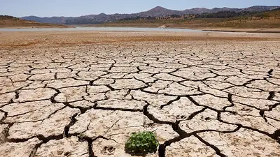 El mundo suma racha de temperaturas récord mientras la ONU advierte de "infierno climático" El mundo suma racha de temperaturas récord mientras la ONU advierte de "infierno climático"
