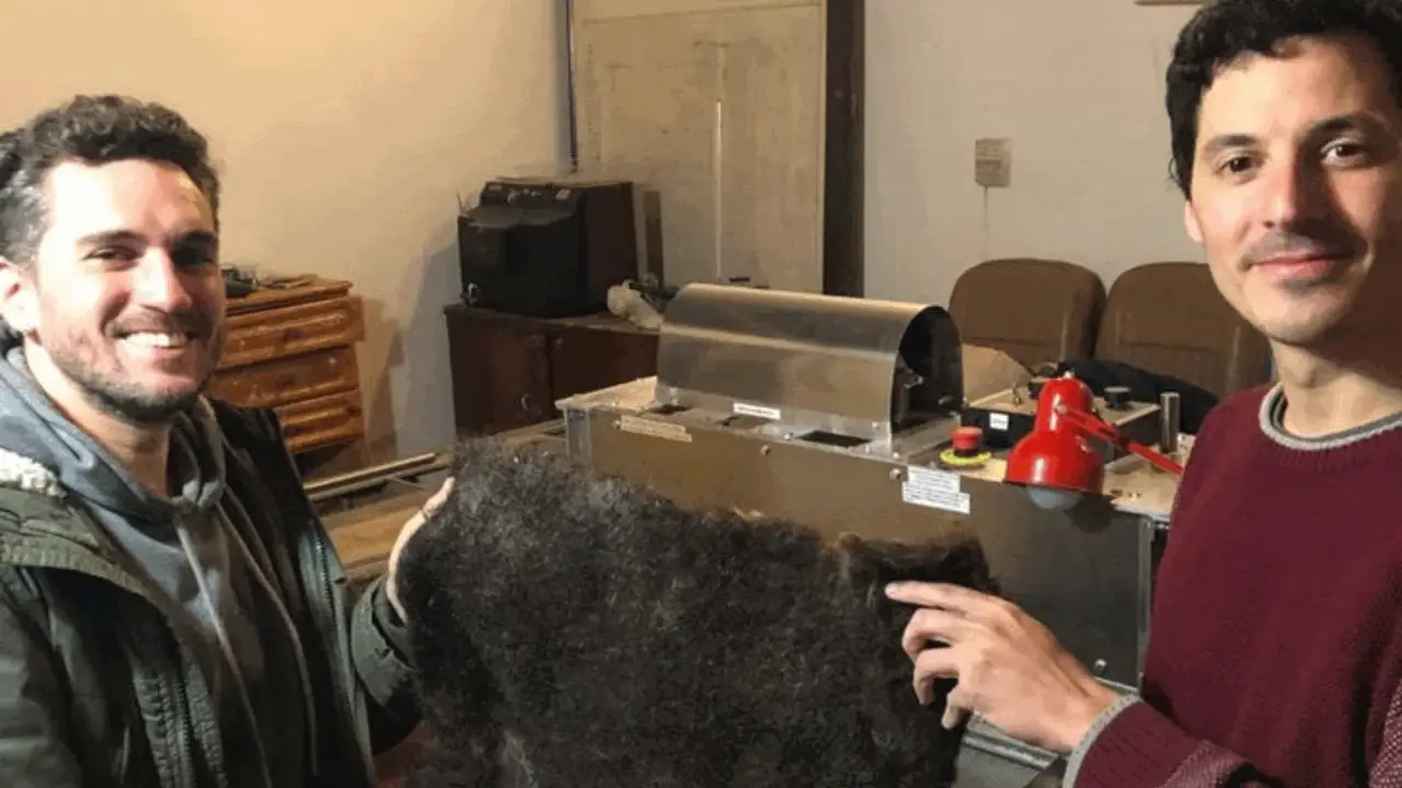 Combaten derrames de petróleo con pelo: el proyecto de dos amigos argentinos que revoluciona la industria del reciclaje