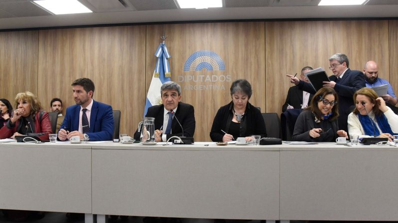 Diputados presiona a Pettovello y la citó para que de explicaciones en una comisión