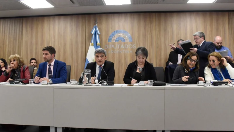 Diputados presiona a Pettovello y la citó para que de explicaciones en una comisión