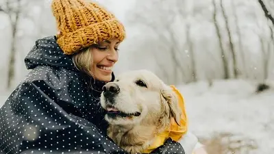 Cómo proteger las orejas de mi perro Cómo proteger las orejas de mi perro